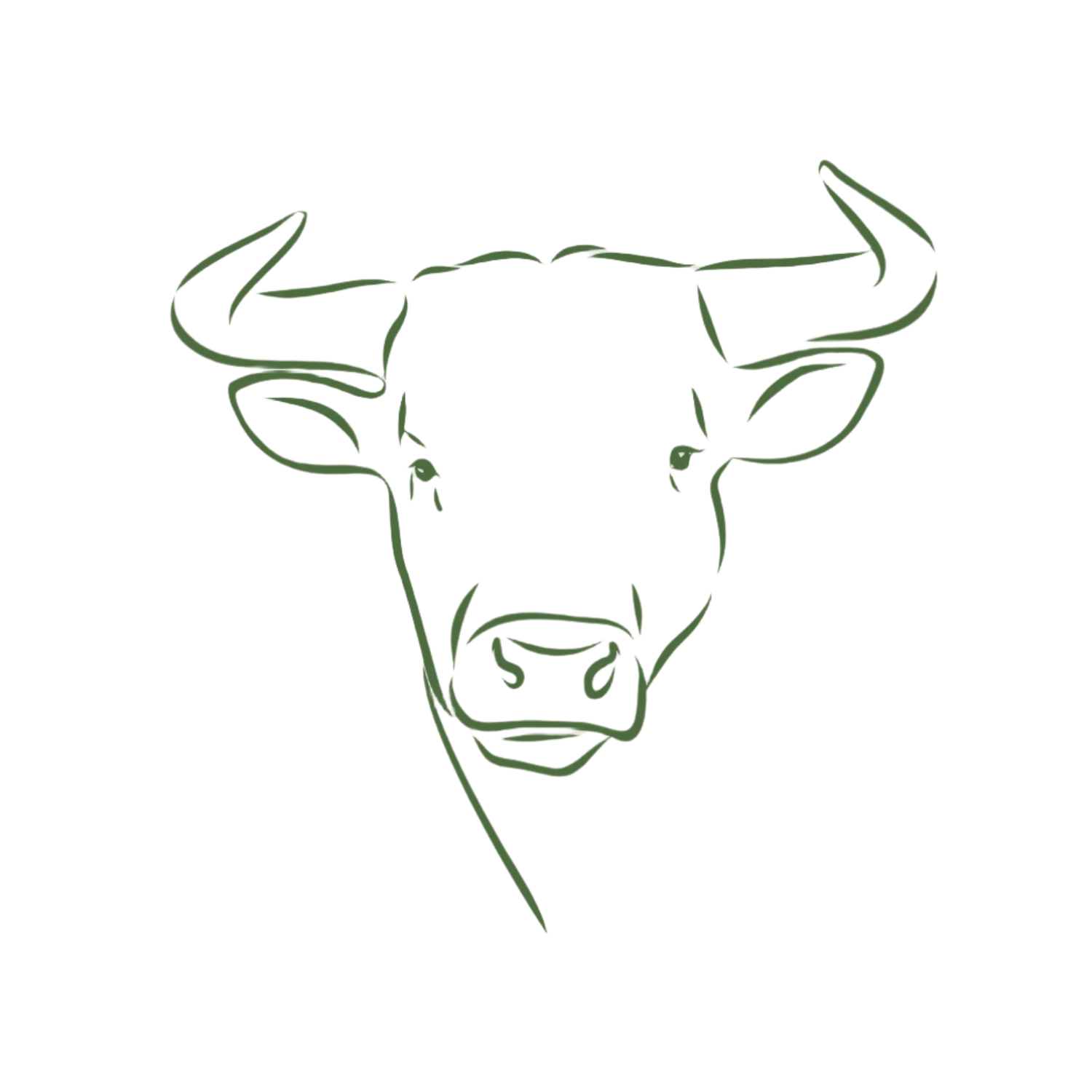 Green line drawing of a bull head on a beige background. Small batch holistic traditional Chinese medicine and southern folk craft in Durham, NC. 